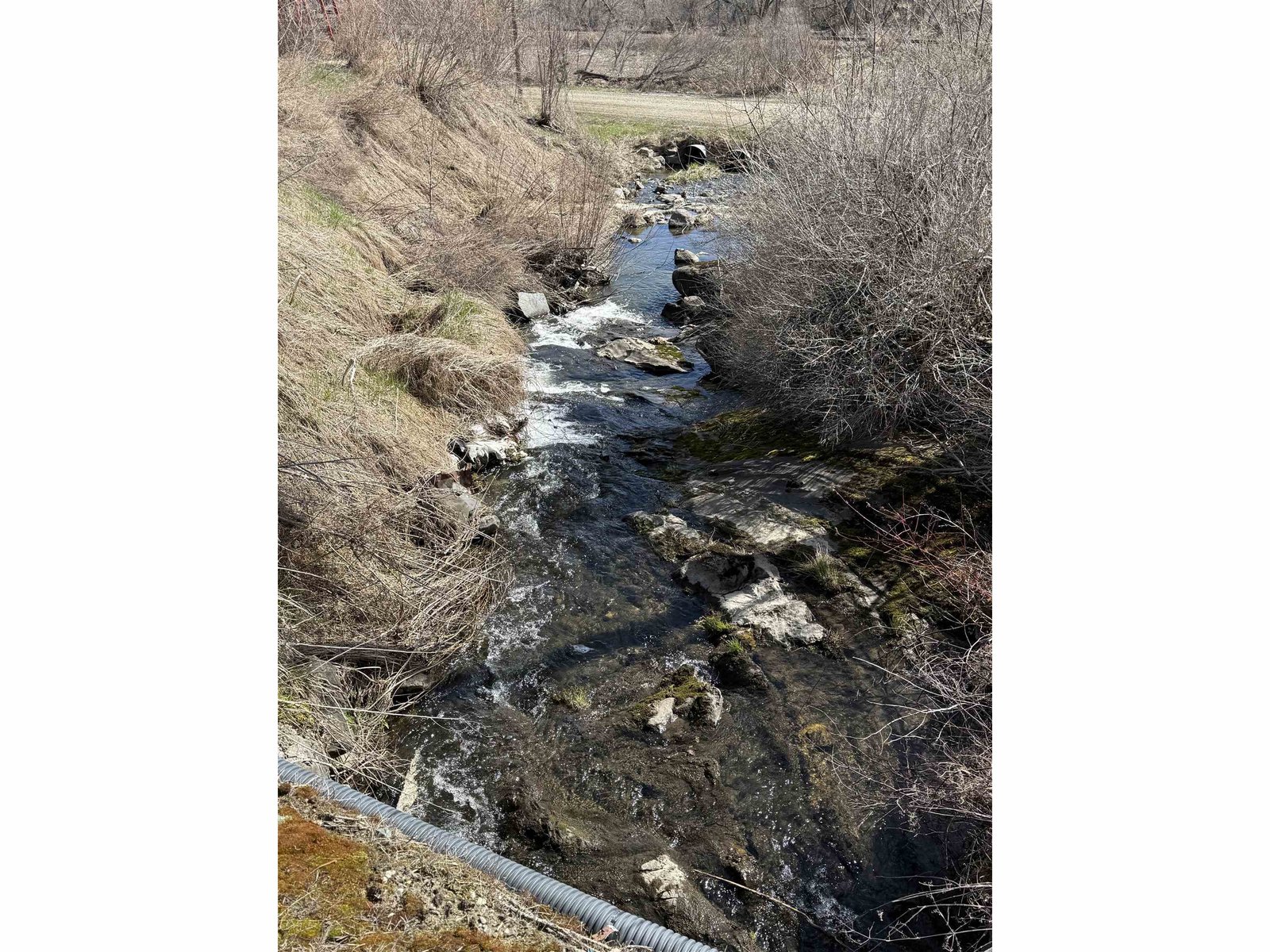 Stream on Property