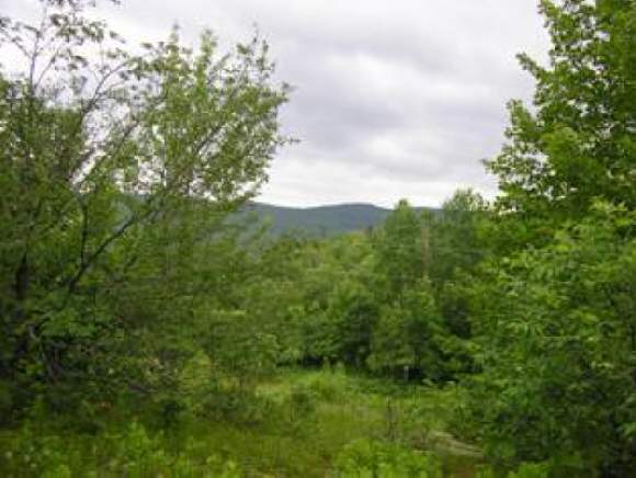 109 Vermont Route 109