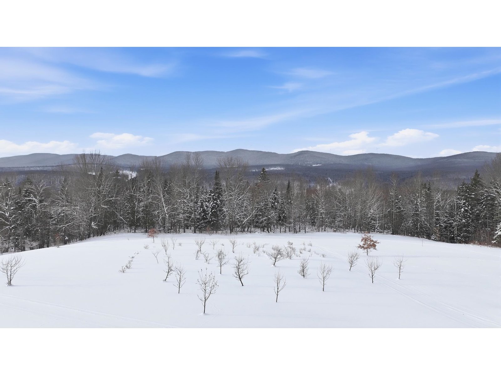 1090 Center Road, Unit #1