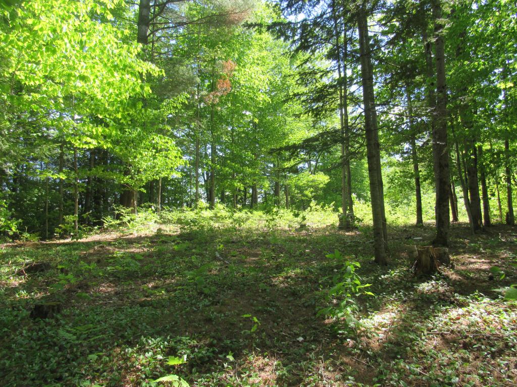 1093 Quiet Valley  Rd