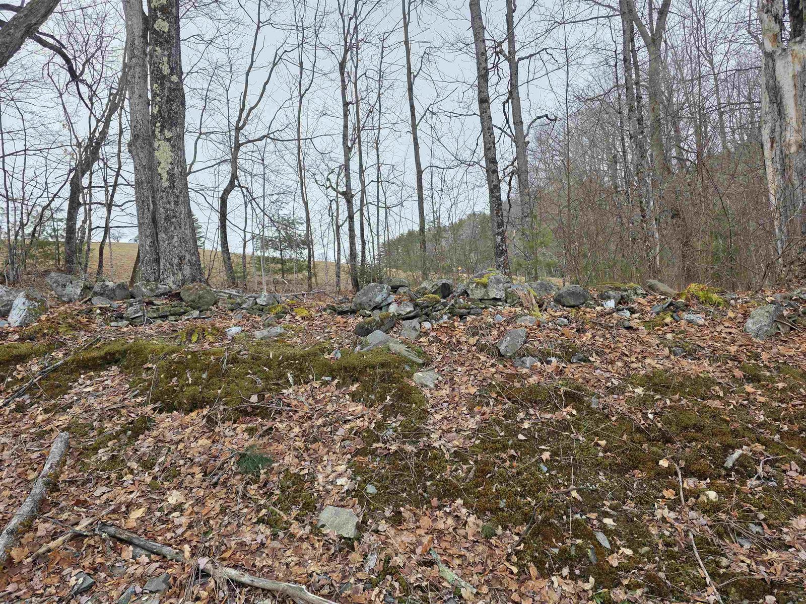 1095 Slate Ledge Road