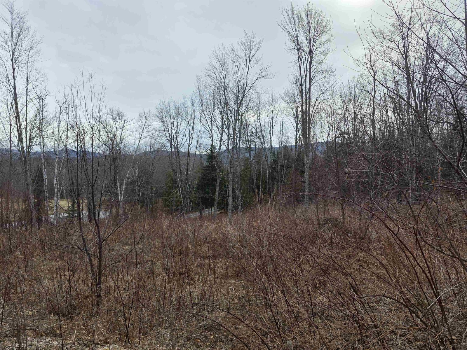 1095 Slate Ledge Road