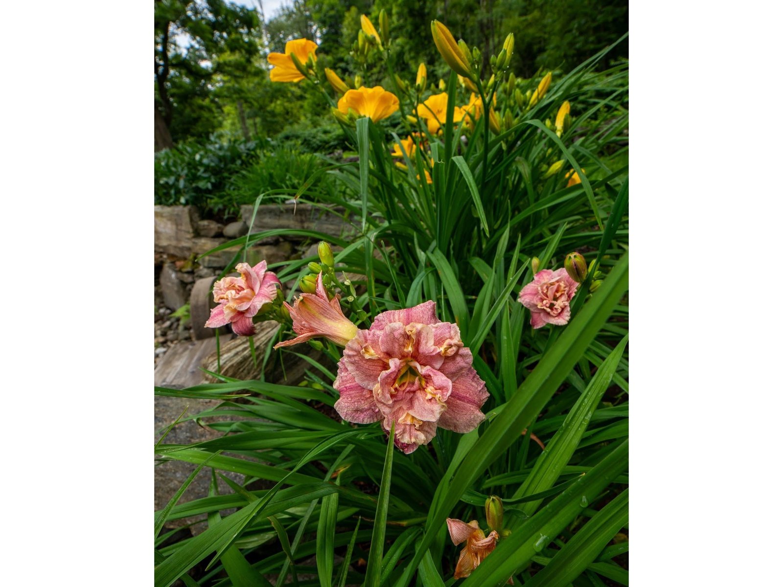1099 Lilliesvillle Brook Road