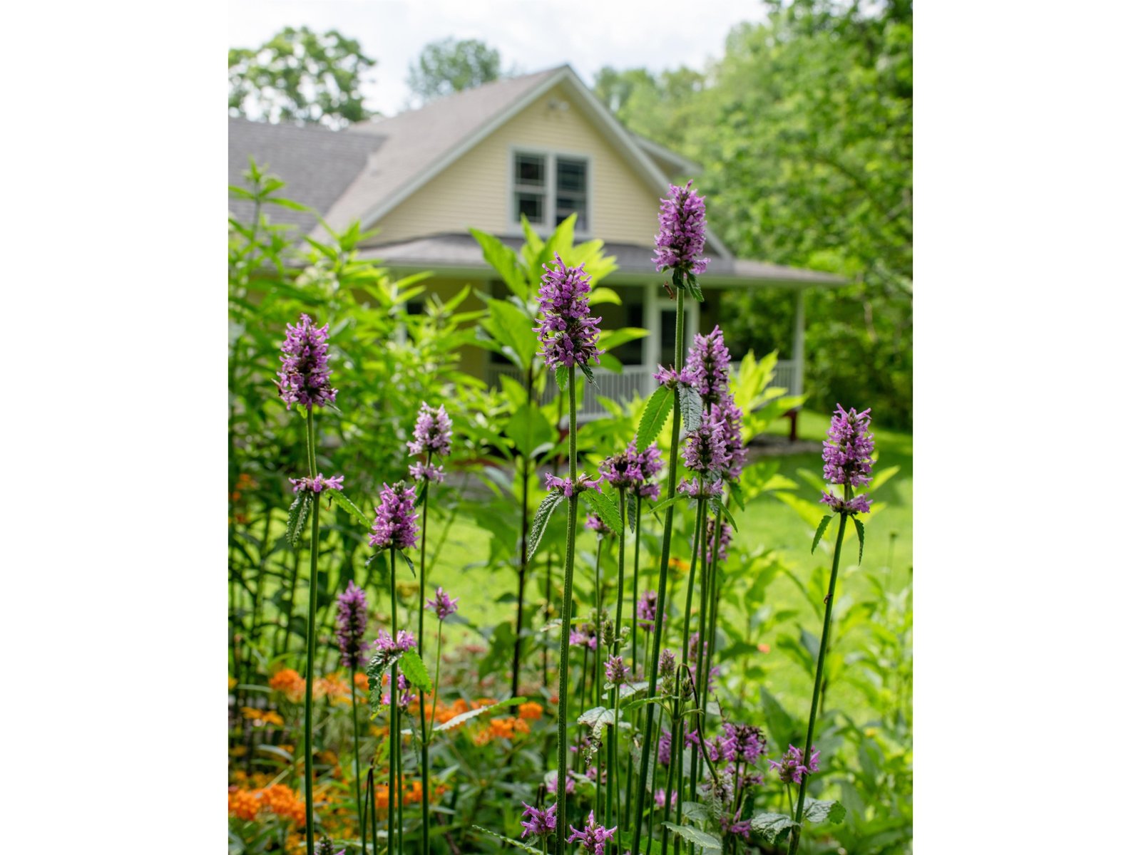 1099 Lilliesvillle Brook Road