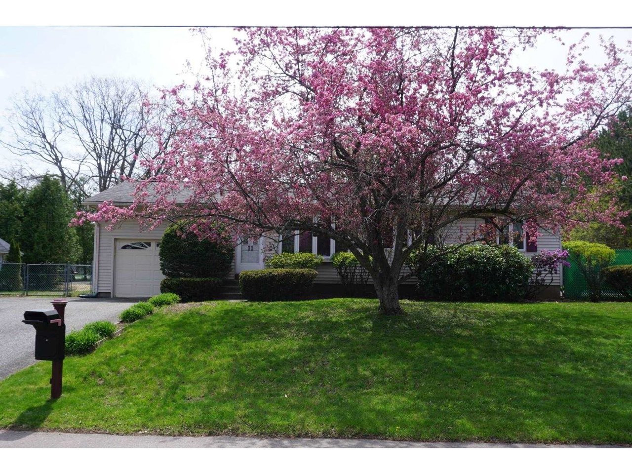 11 Blair Road