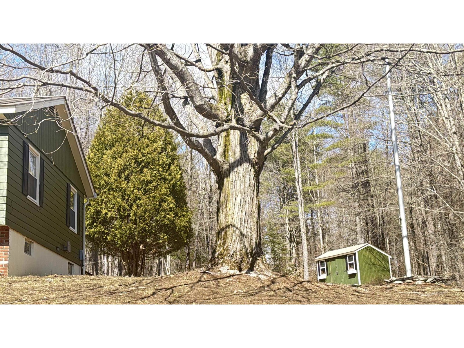 11 Juniper Hill Road