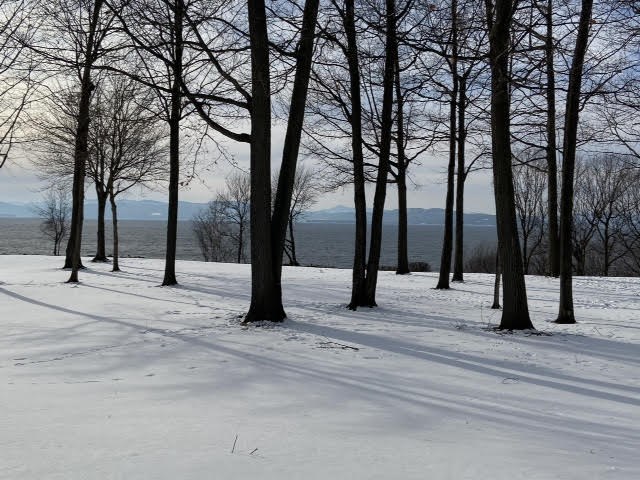 11 Northshore Drive