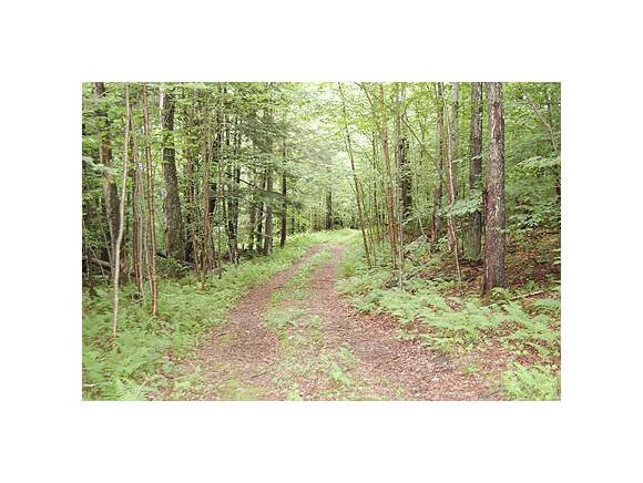 11 Village Woods