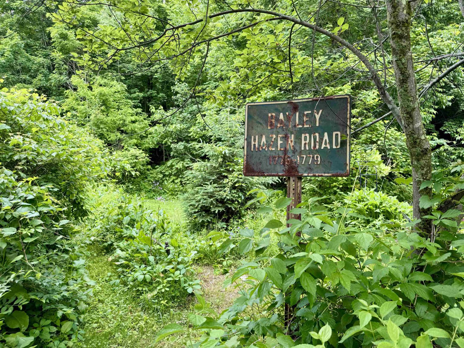 11 Water Street
