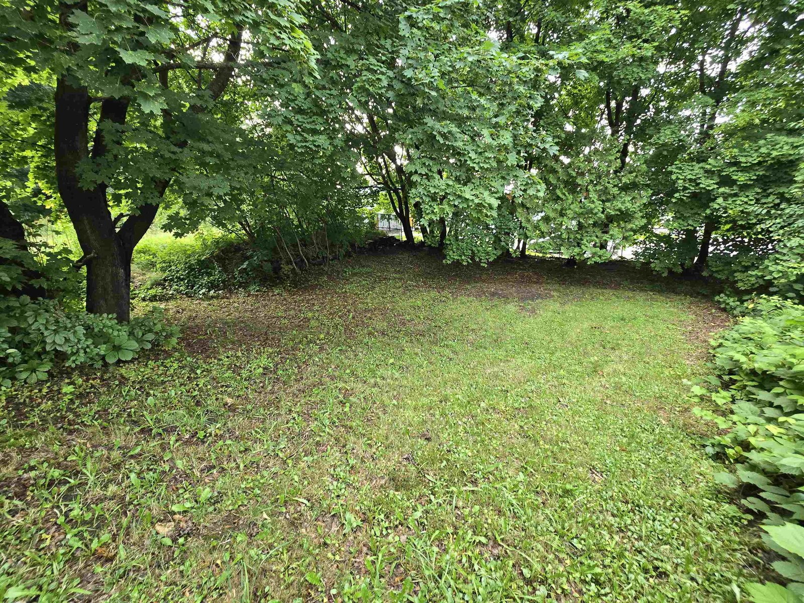 Back yard