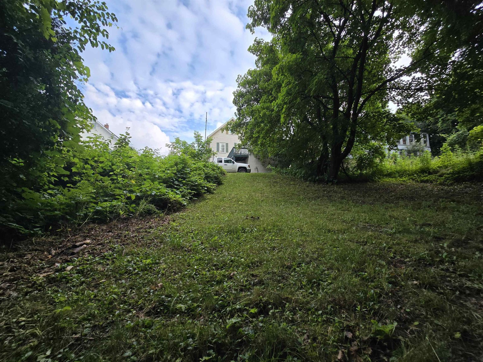 Back yard