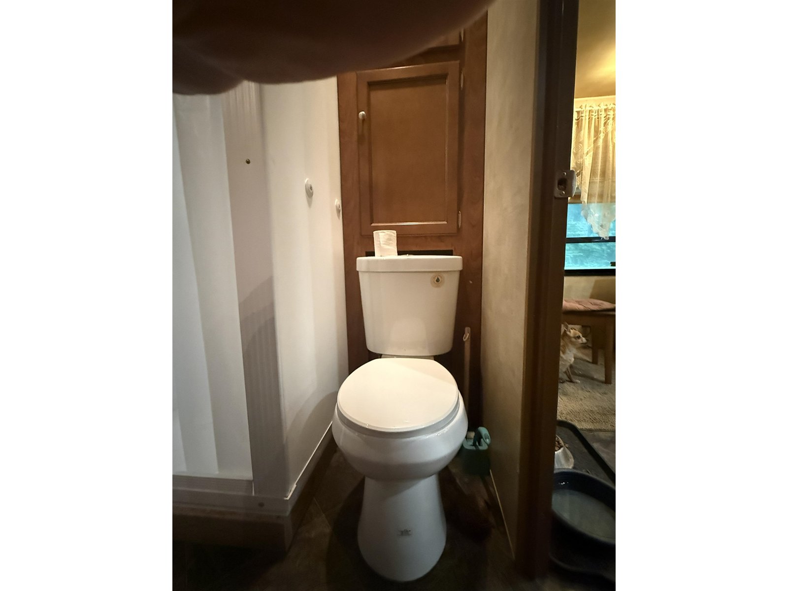 Standard Toilet