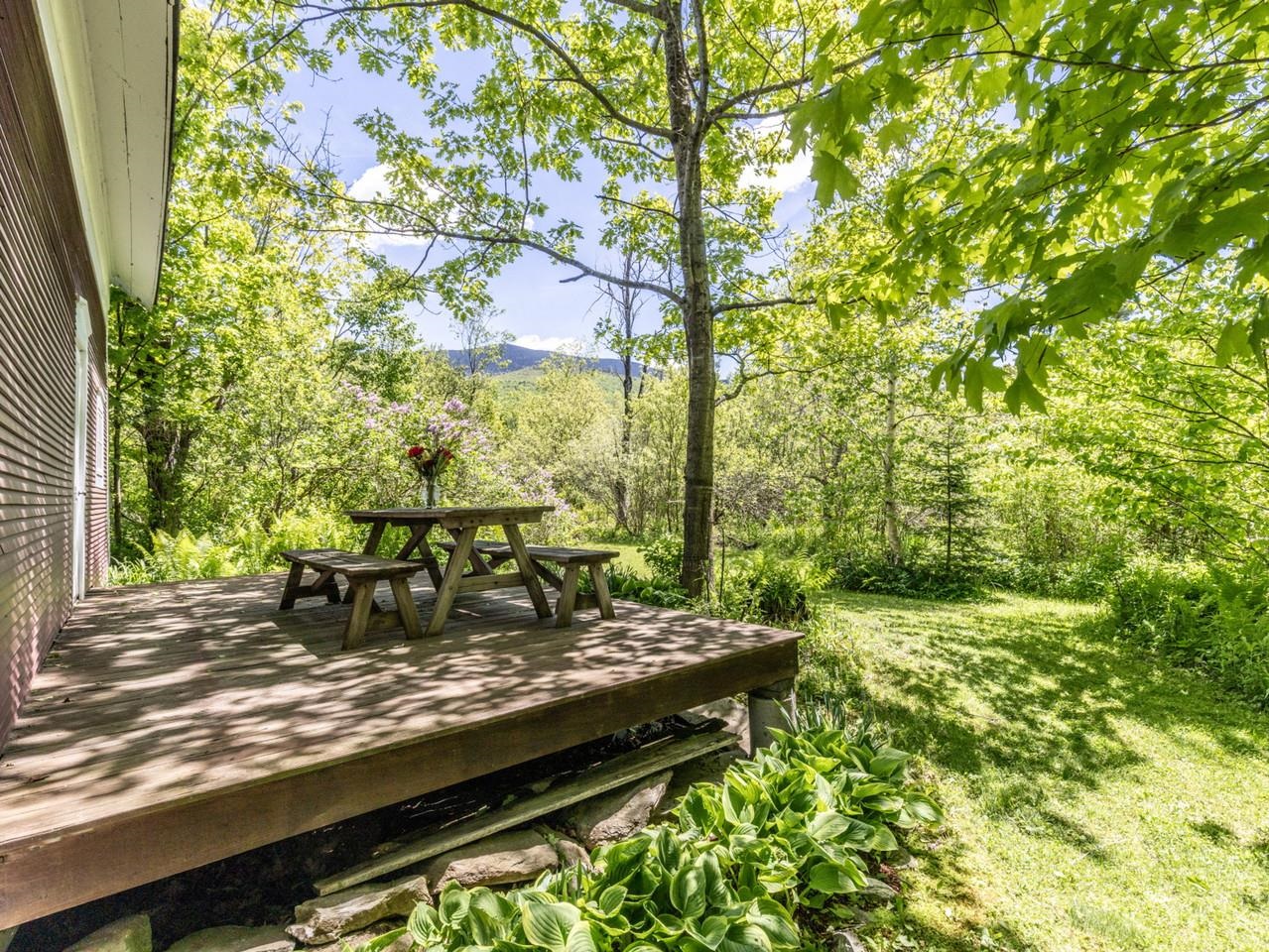 Back deck with forest views