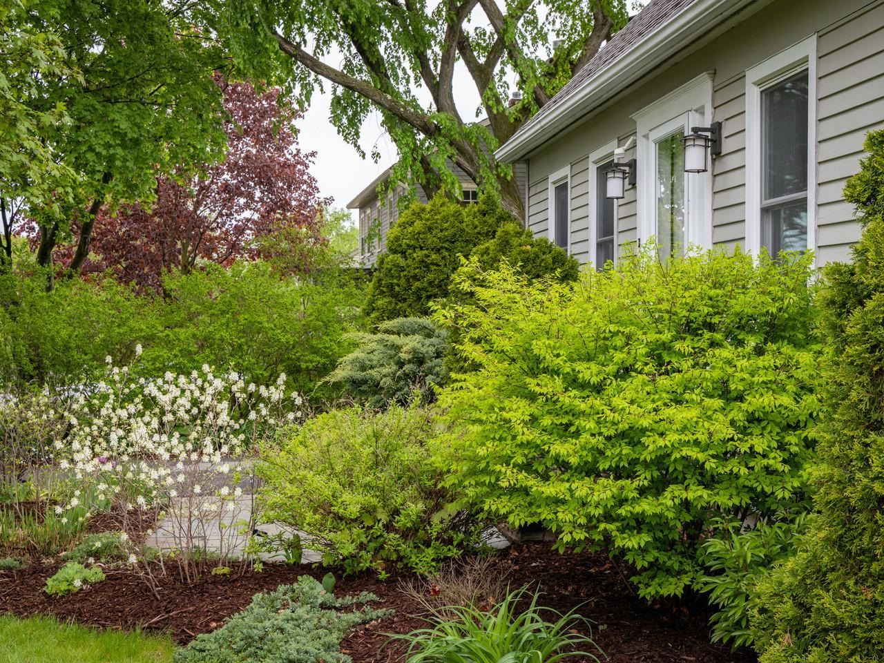 113 Maplewood Drive