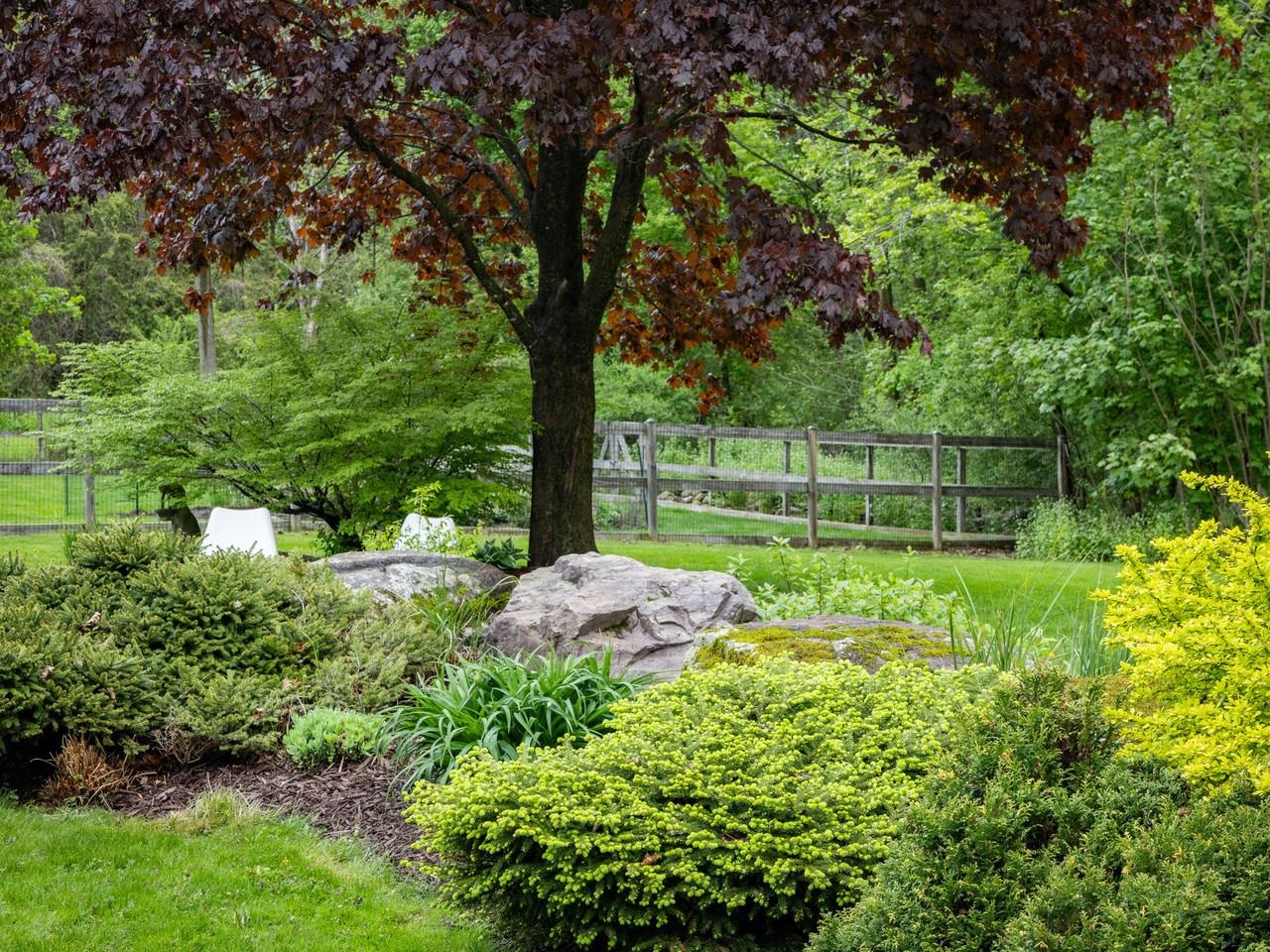 113 Maplewood Drive