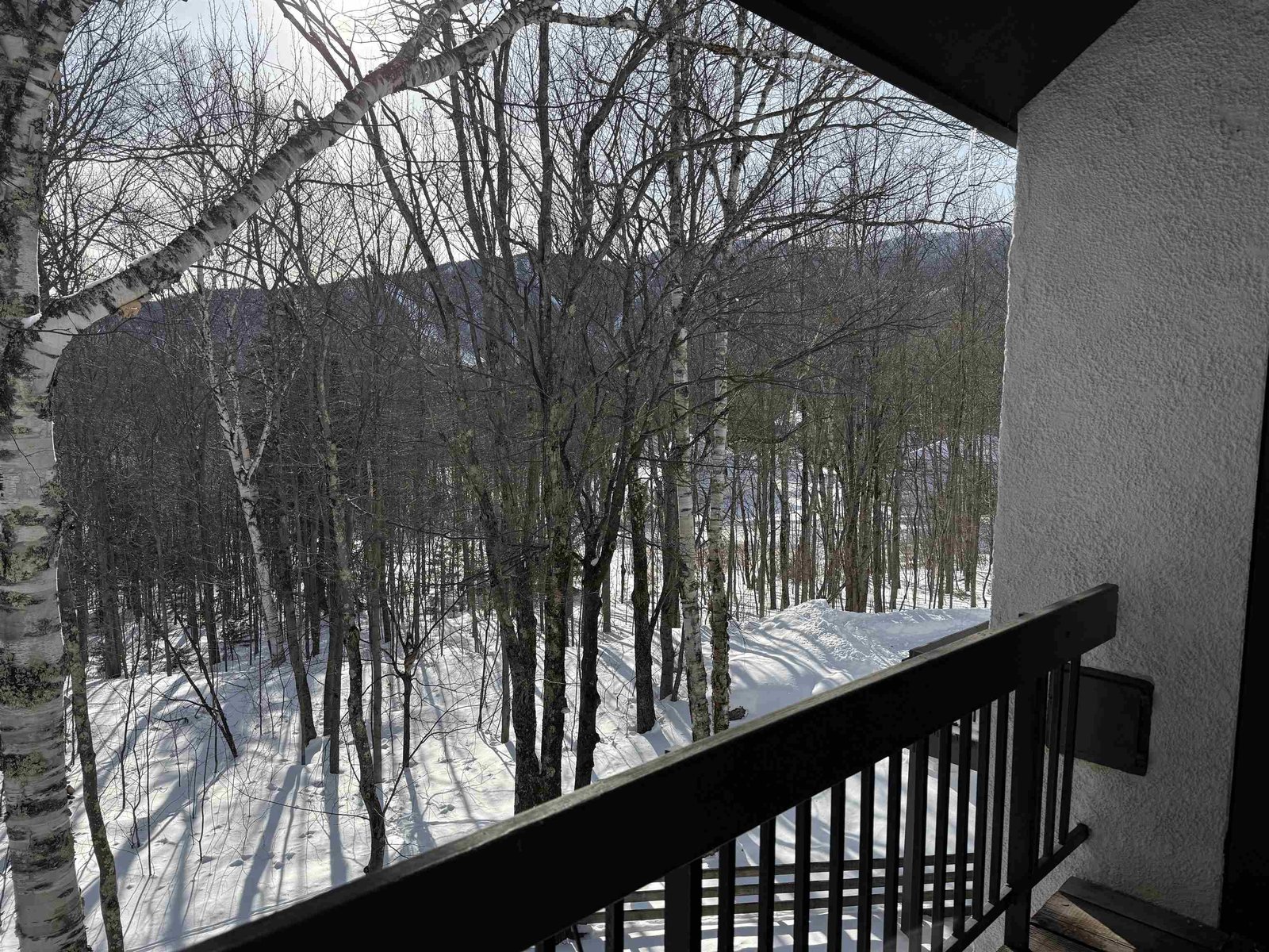 114 Club Sugarbush Road