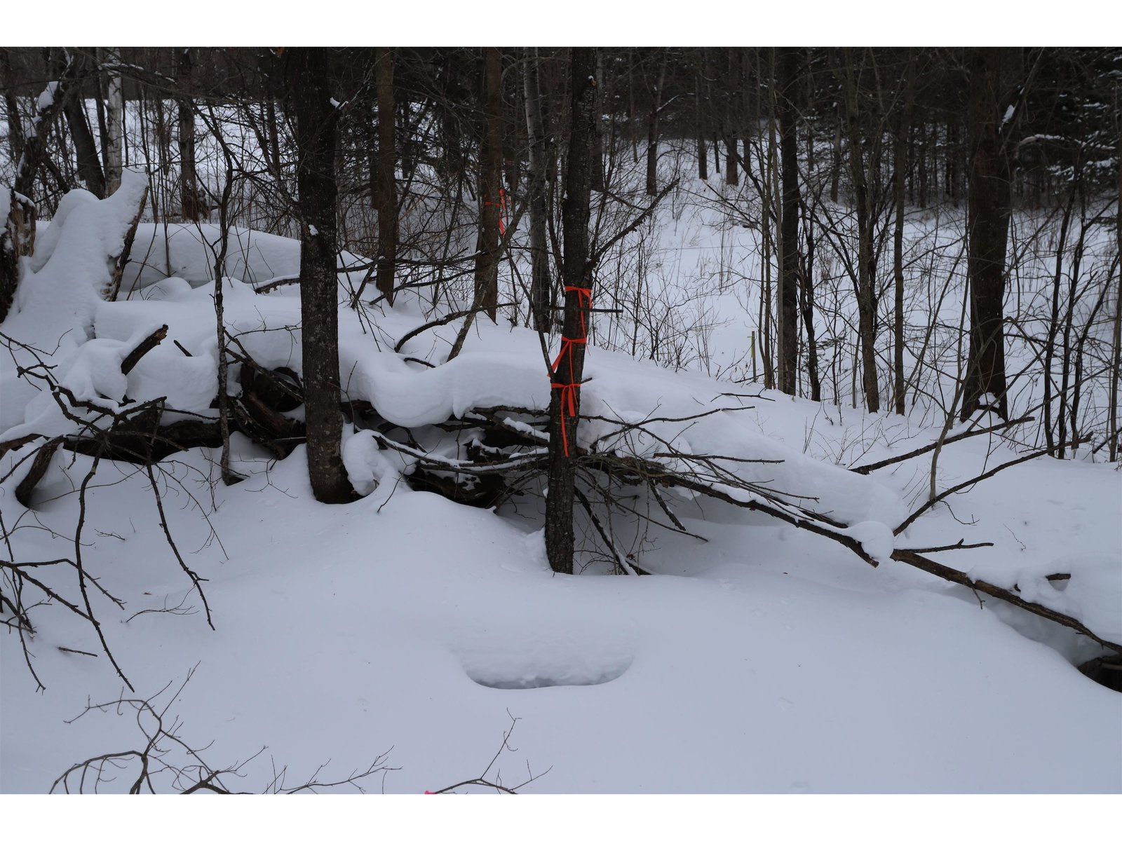 North/West Boundary Markers (Approximate Only)