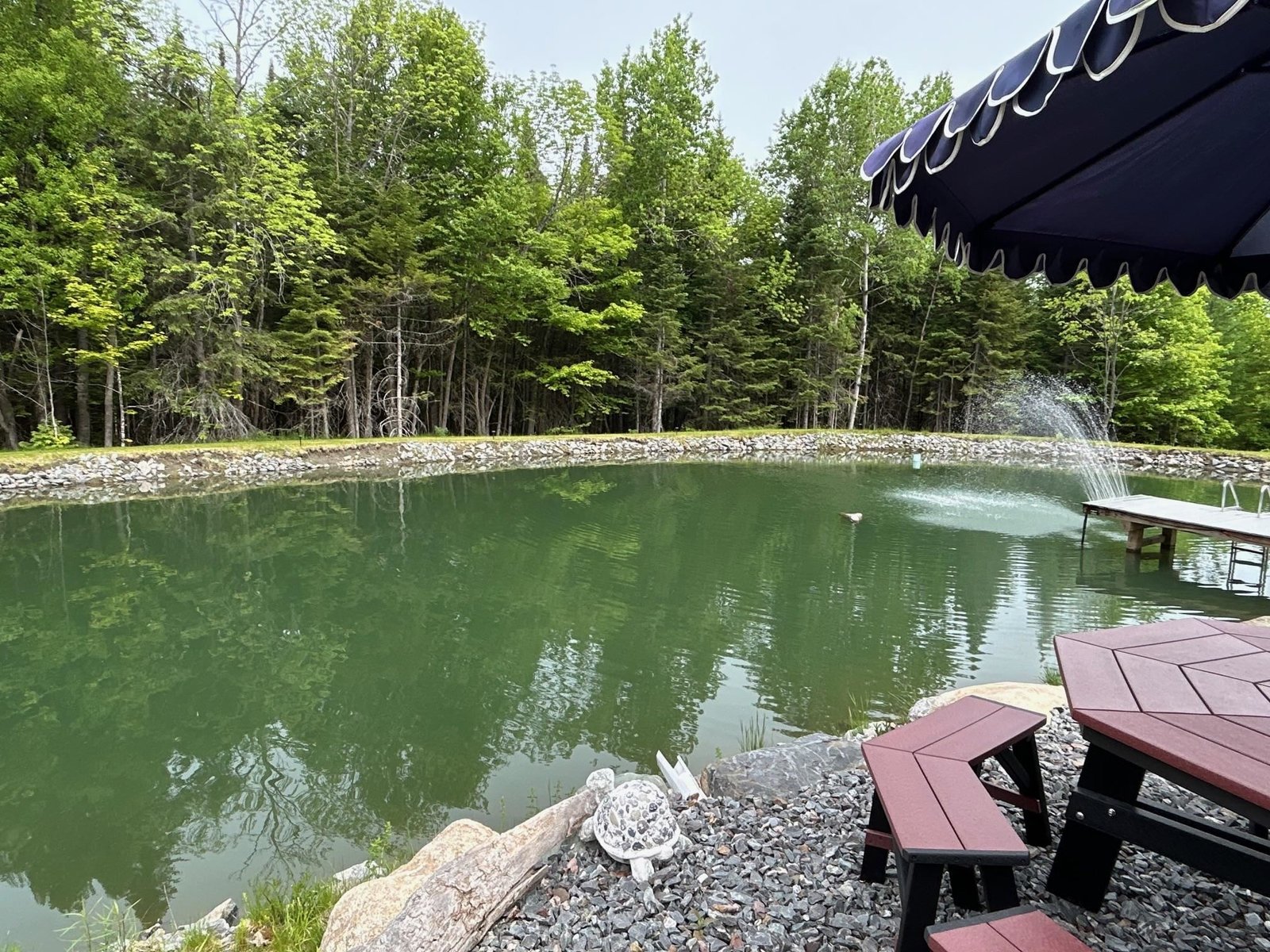 More pond