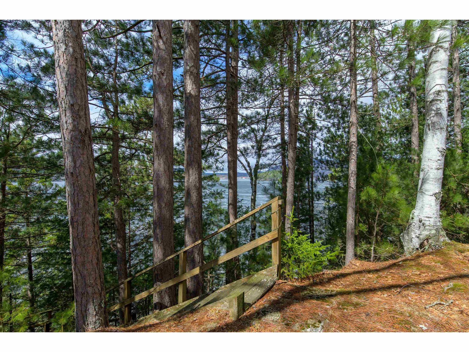 1143 Lakeshore Drive