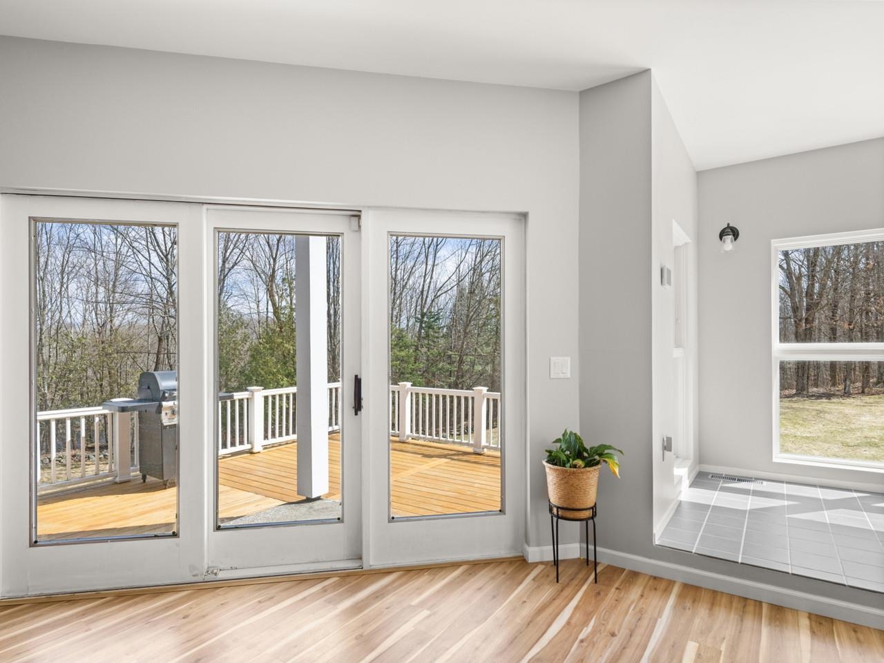 Doors to Deck