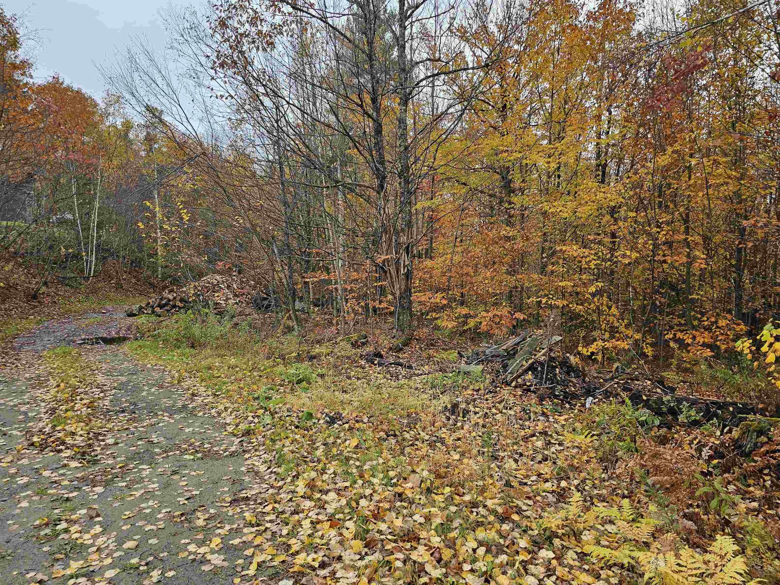 115 Prior Road