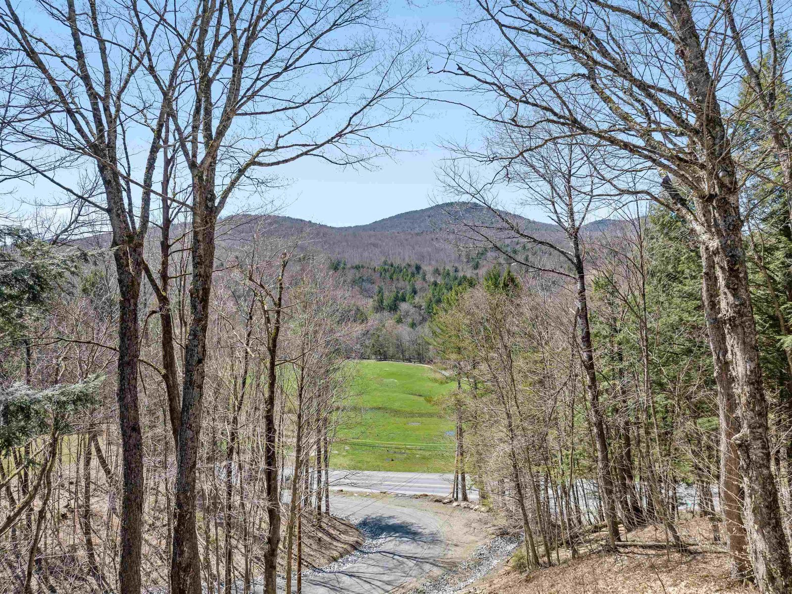 115 Spruce Hollow