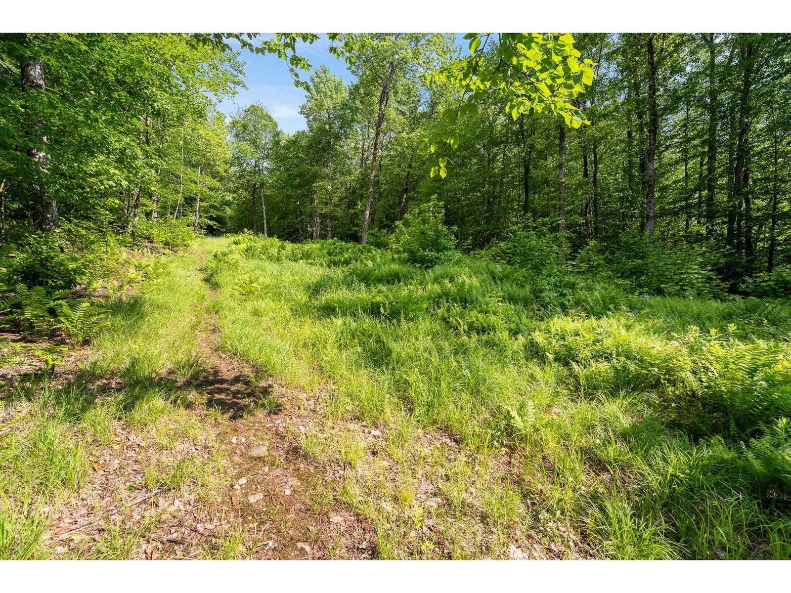 115 Stone Hill Road