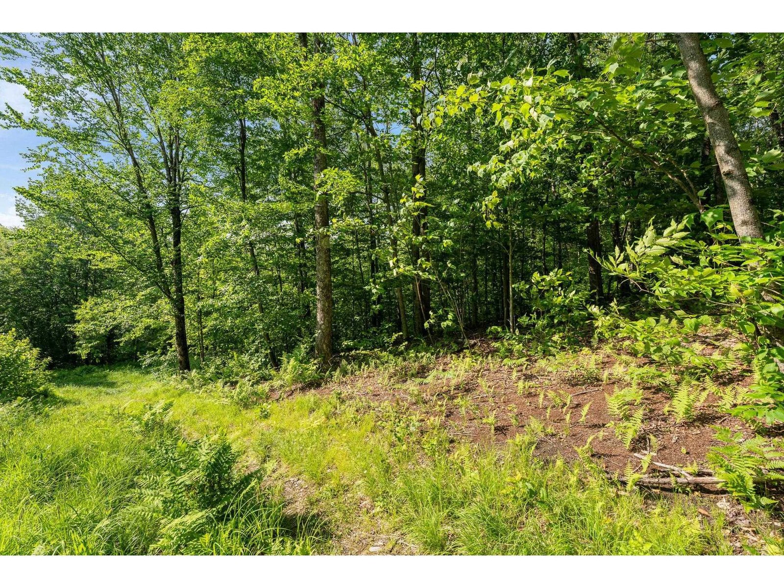 115 Stone Hill Road