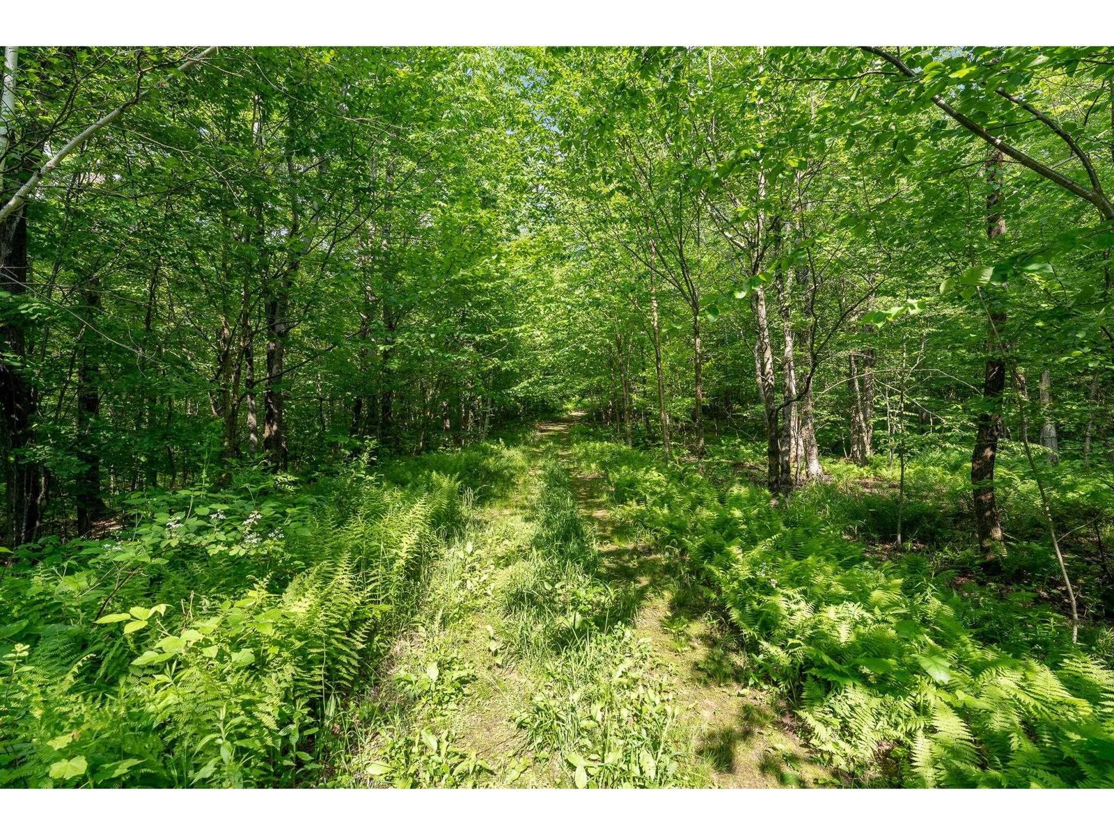 115 Stone Hill Road