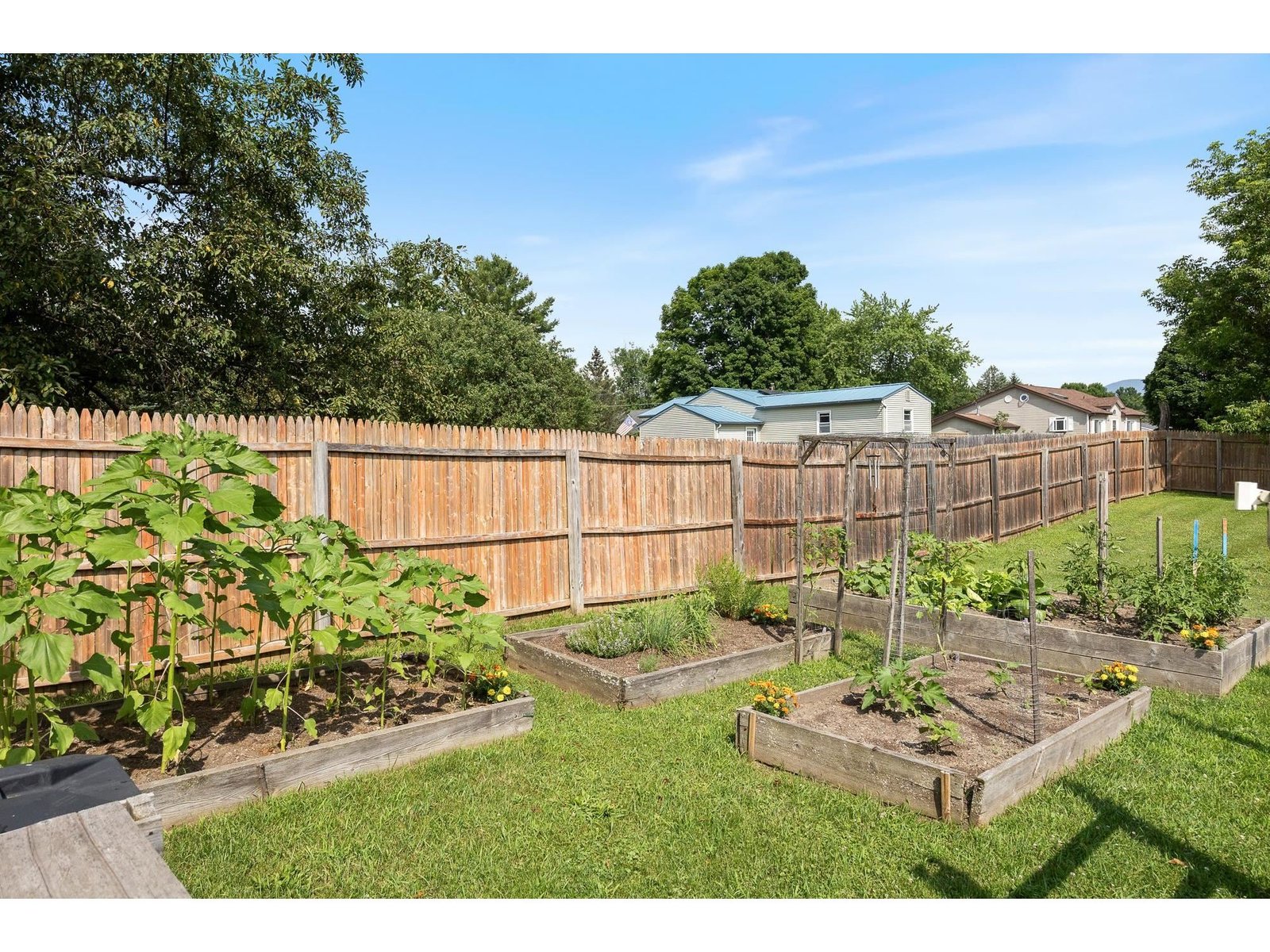 115 Sunny View Drive