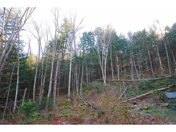 1151 Stevens Brook Road