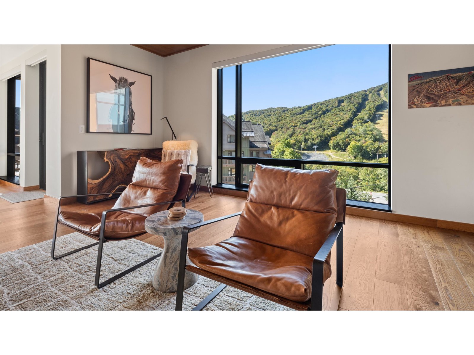 Living Room View