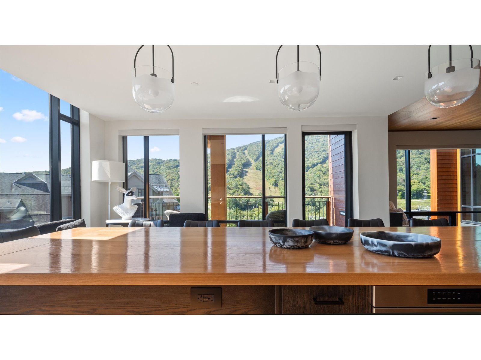 Kitchen and View
