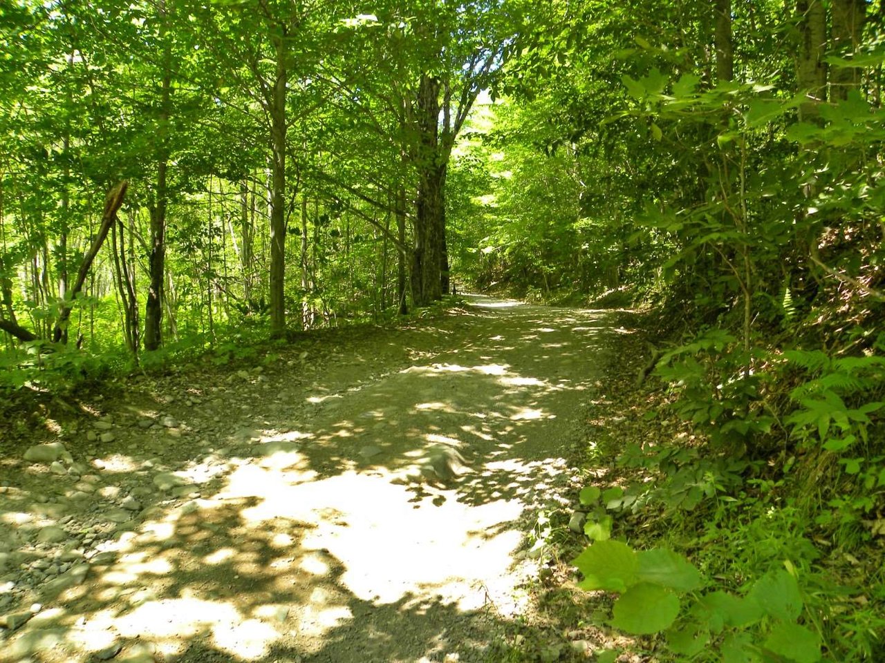 1160 Clark Mountain Road