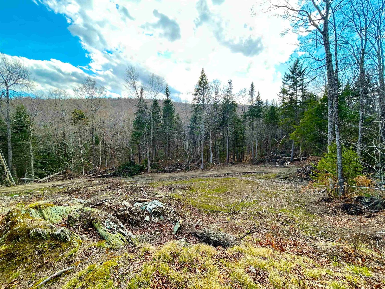 1164 Hallstrom Road