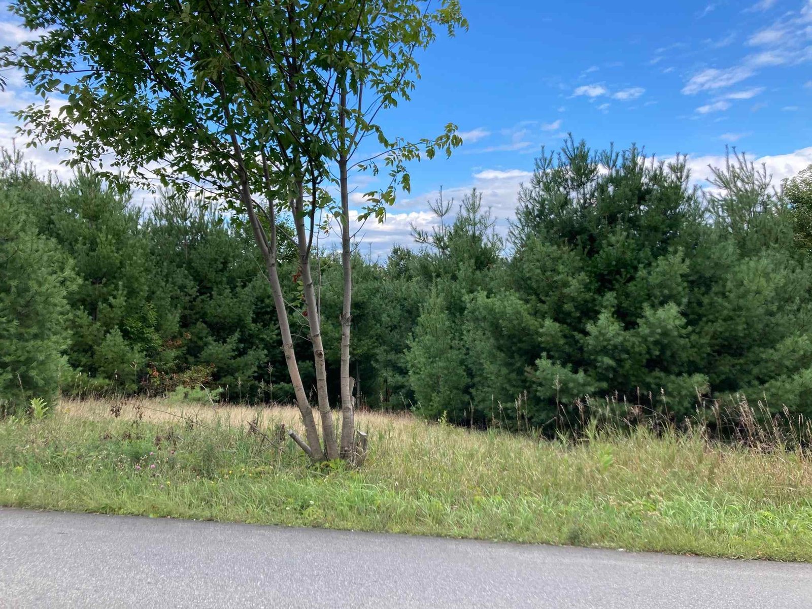 1165 Pine Hill Road
