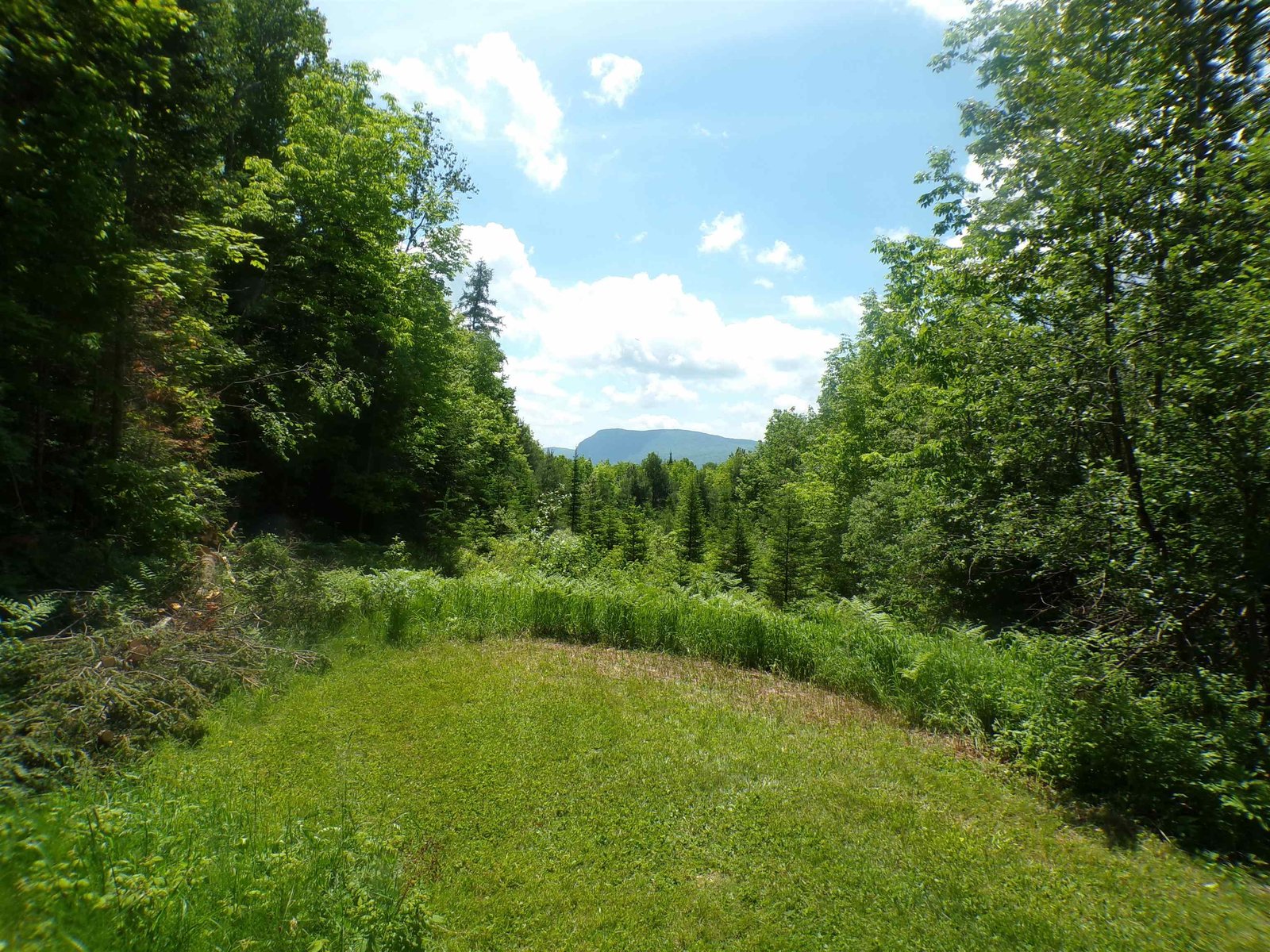 Willoughby Gap