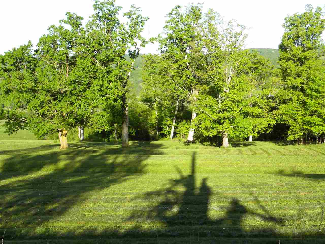 118 Smith Farm