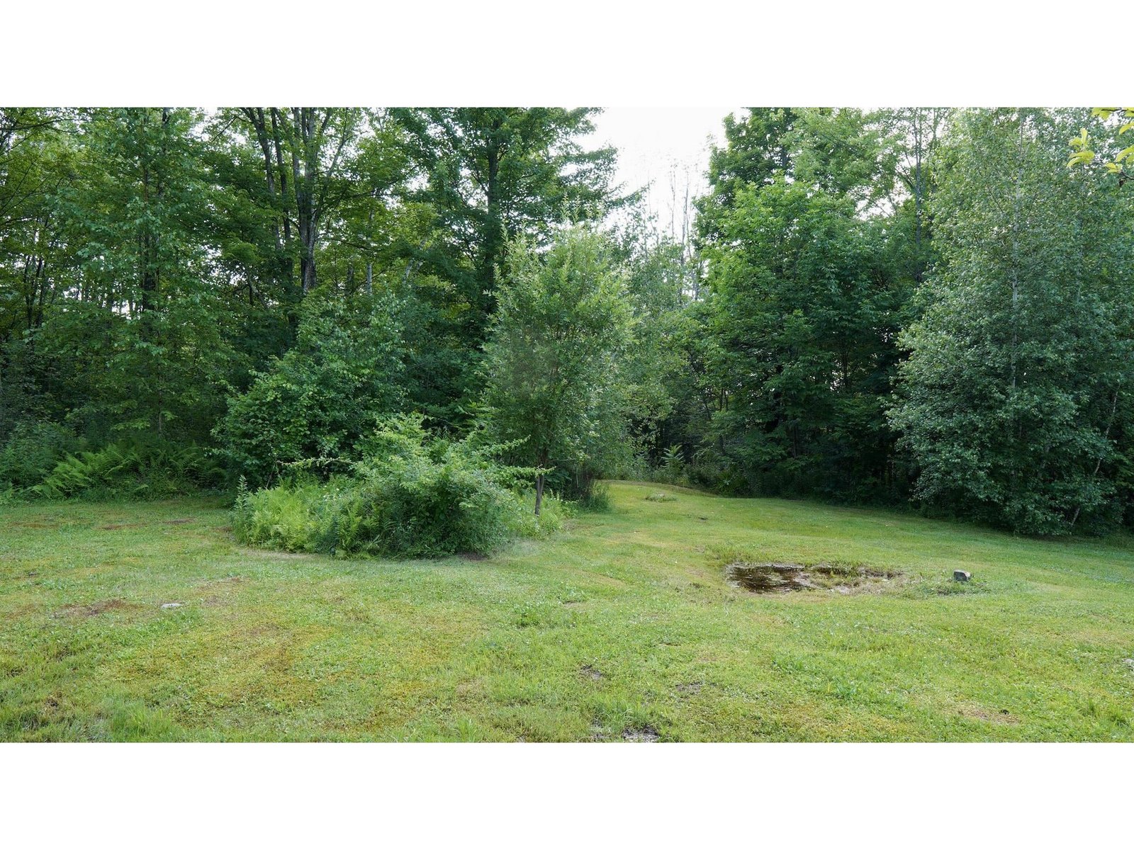 1186 French hill Road
