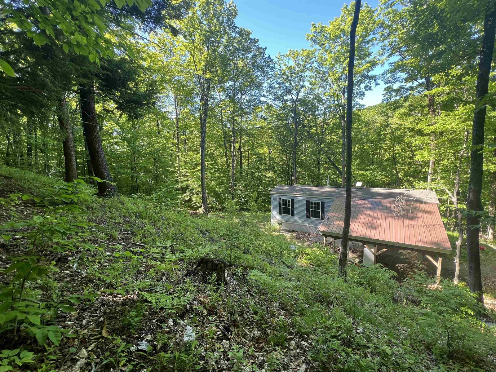 Possible views with clearing