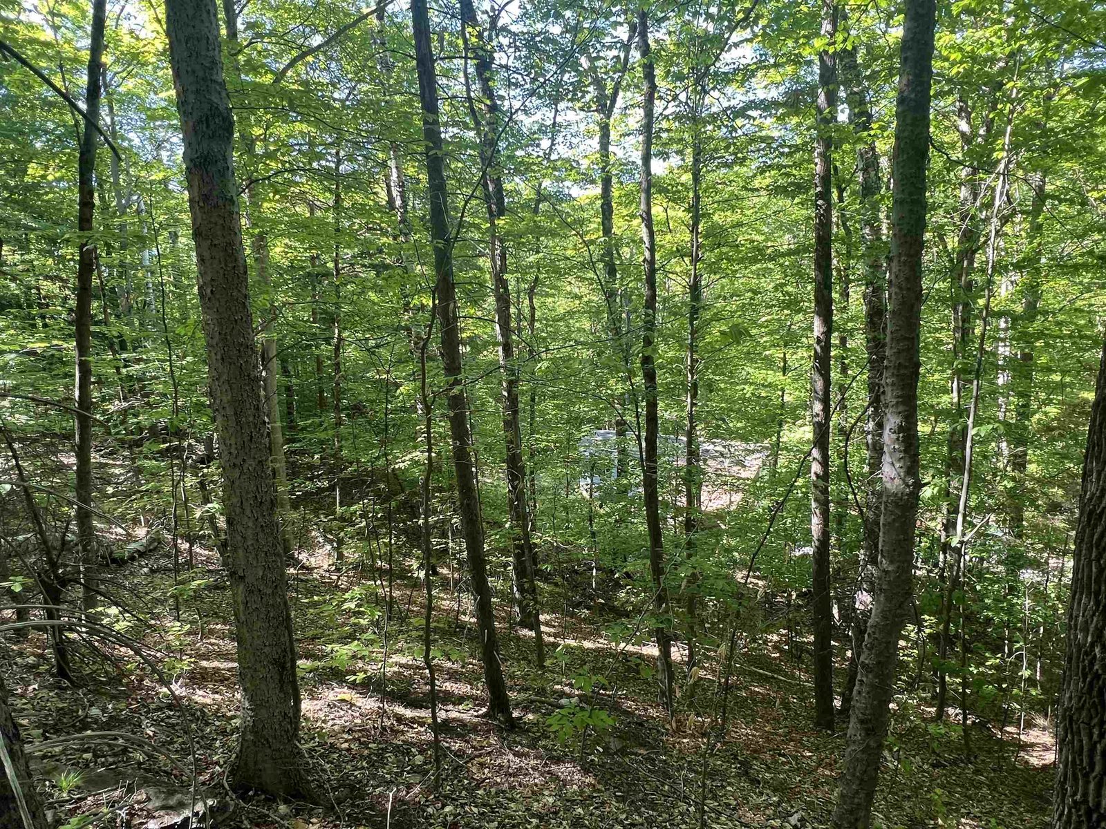 1190 Long Hill Road