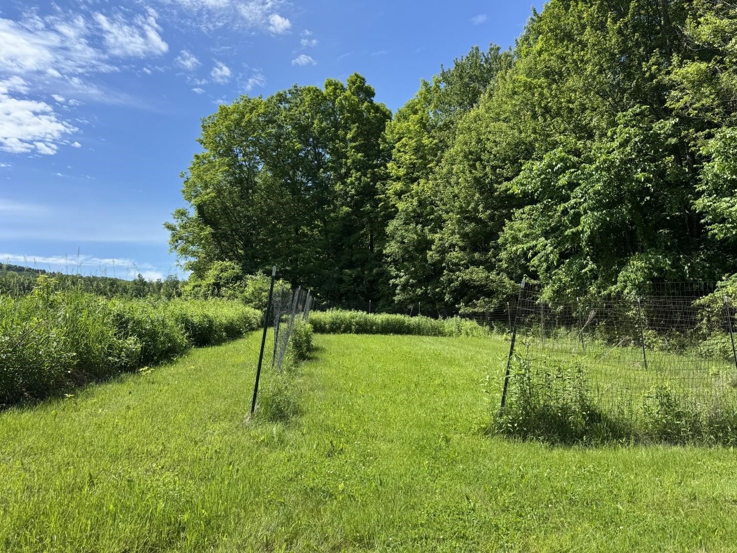 1198 Georgia Mountain Road