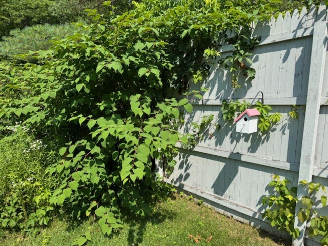 12 Benoit Drive