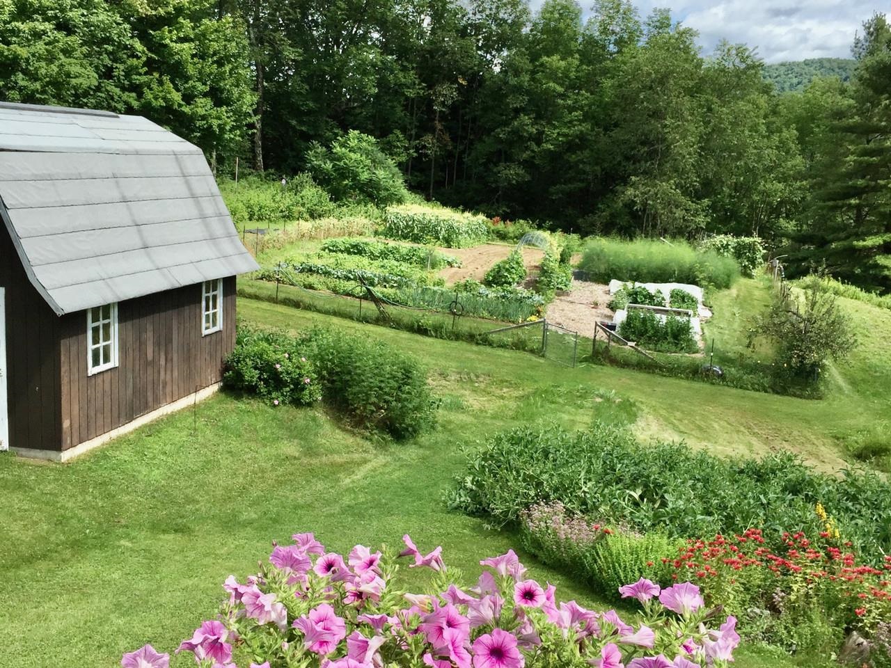 12 Briar Patch Lane