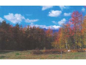 12 Grey Birch Road