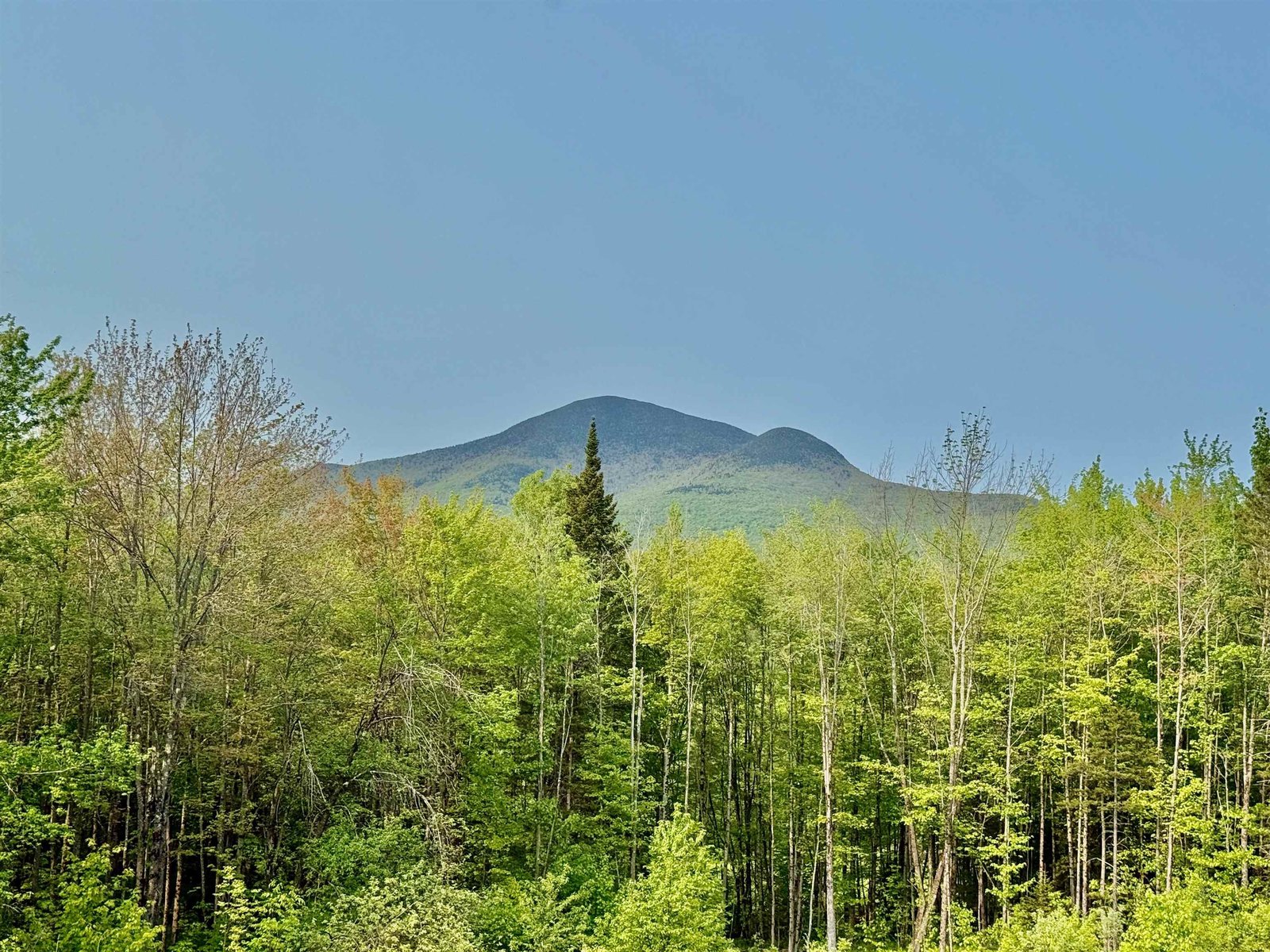 Jay Peak view