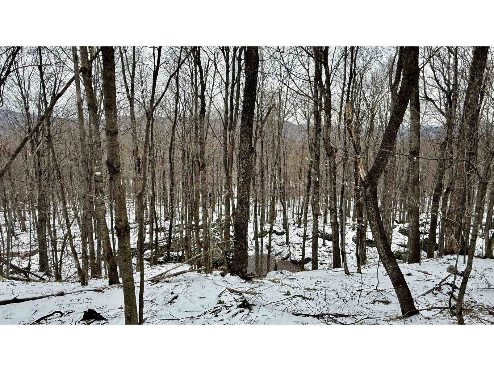 1207 Iron Gate Road