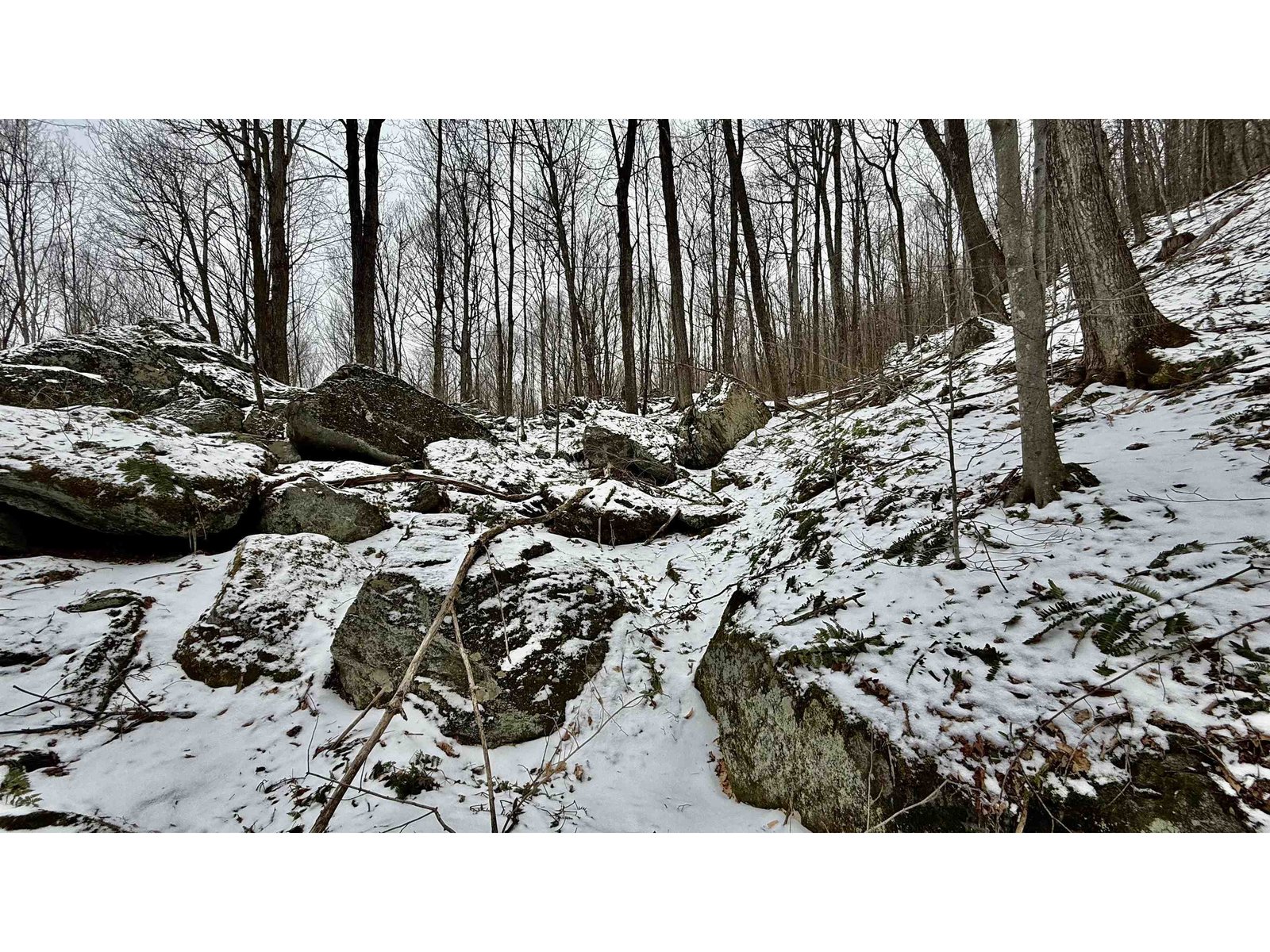 1207 Iron Gate Road