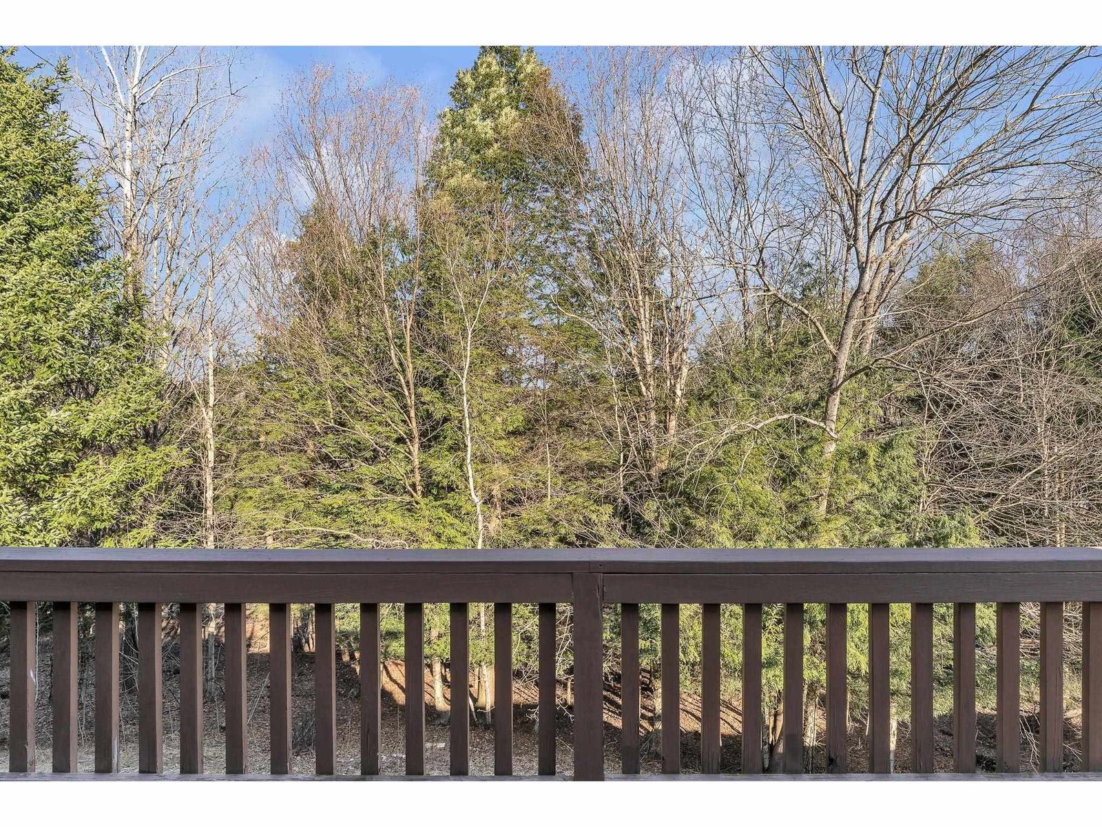 121 Forest Drive, Unit 2