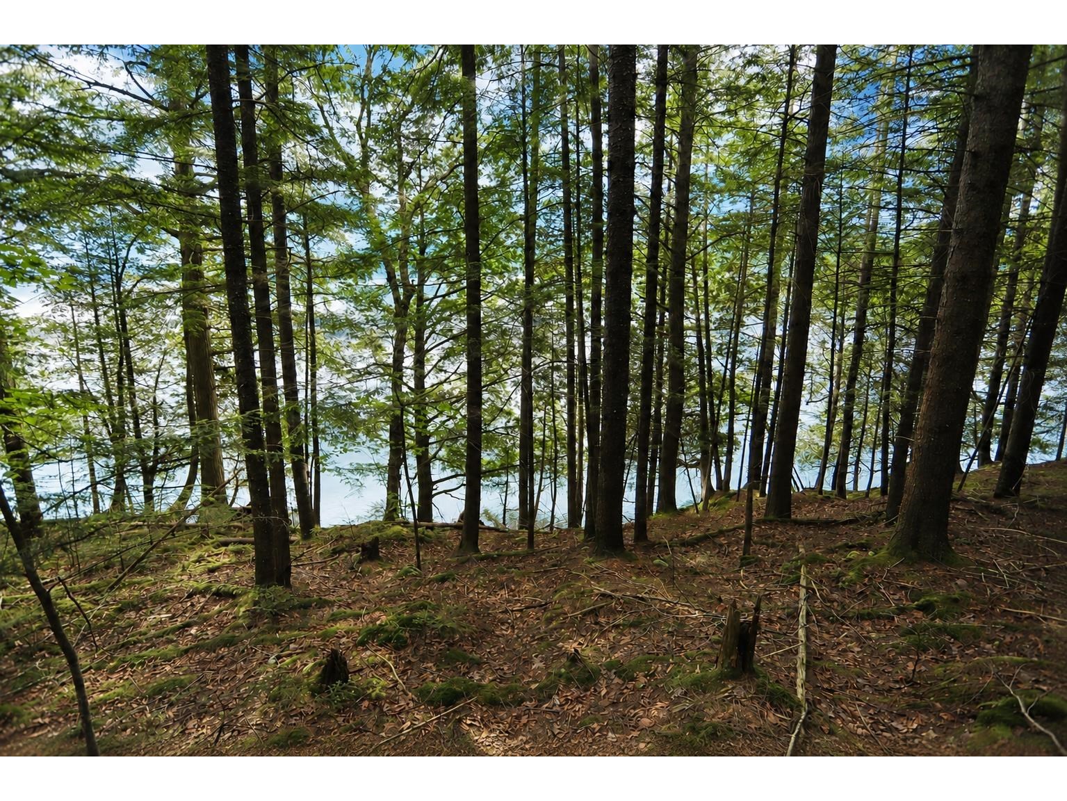 1220 Camp Winape Road